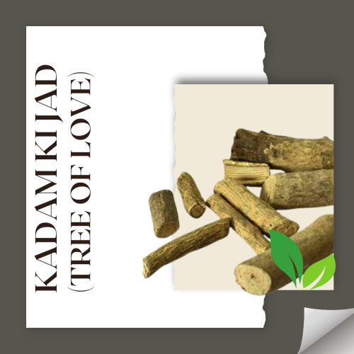 Kadam ki jad (Tree of Love)