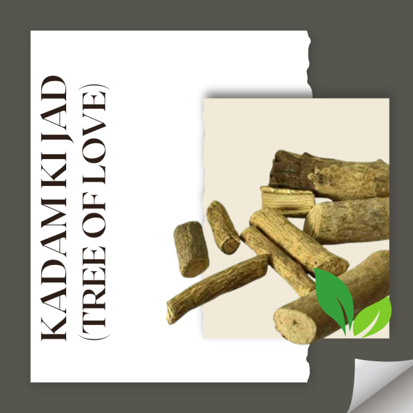 Kadam ki jad (Tree of Love)