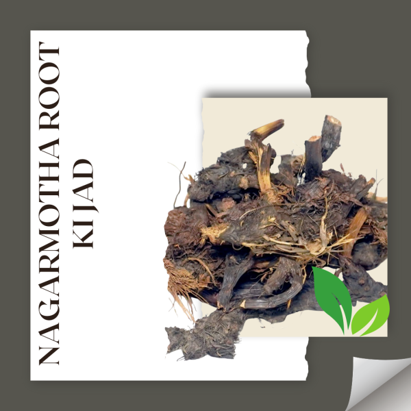 Nagarmotha Root