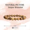 Natural Picture Jasper Bracelet