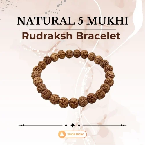 Natural 5 Mukhi Rudraksh Bracelet