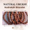 Natural 5 Mukhi Rudraksh Bracelet
