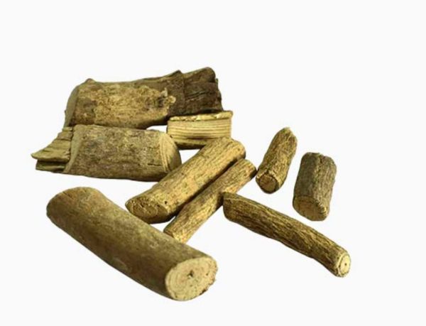 Kadam ki jad (Tree of Love)