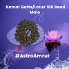 Kamal-Gatta-Mala_AStroAmrut.jpeg Kamal Gatte/Lotus Bead Ki Jaap Mala 108 Seeds
