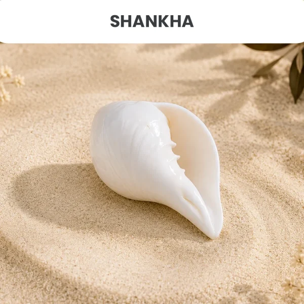 Shankha - दक्षिणावर्ती (dakshinaavartee)