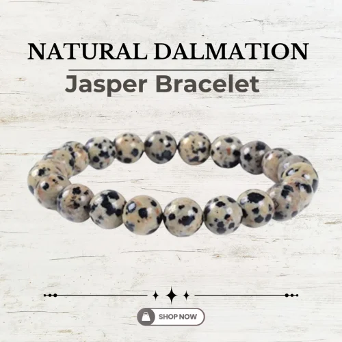 118.webp Natural Dalmation Jasper Bracelet