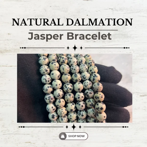 119.webp Natural Dalmation Jasper Bracelet