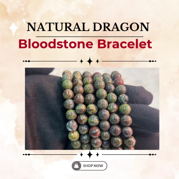 127.webp Natural Dragon Bloodstone Bracelet