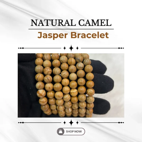 179.webp Natural Picture Jasper Bracelet