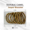 180.webp Natural Picture Jasper Bracelet