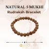 44.webp Natural 5 Mukhi Rudraksh Bracelet