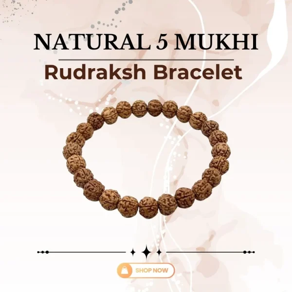 44.webp Natural 5 Mukhi Rudraksh Bracelet