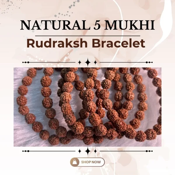 45.webp Natural 5 Mukhi Rudraksh Bracelet