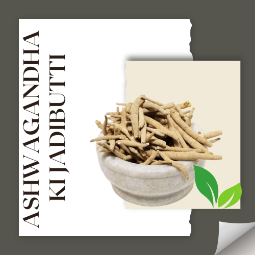 Ashwagandha Ki Jadibutti