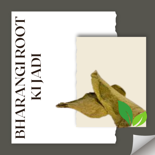 Bharangi Root