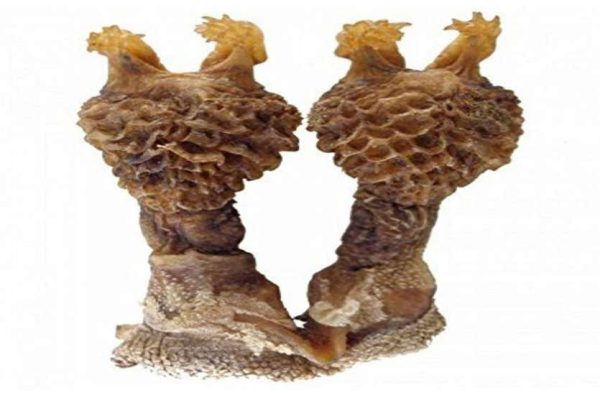 Lakshmi Potli Prayog Samagri